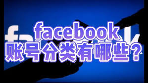 FB最全的账号分类讲解